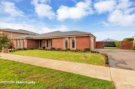 Property photo of 6 Bracher Road Bannockburn VIC 3331