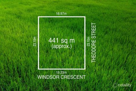 Property photo of 116 Windsor Crescent Surrey Hills VIC 3127