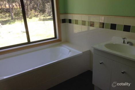 Property photo of 38 Pyes Creek Stannum Road Bolivia NSW 2372