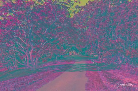 Property photo of 505 Tallebudgera Connection Road Currumbin Valley QLD 4223