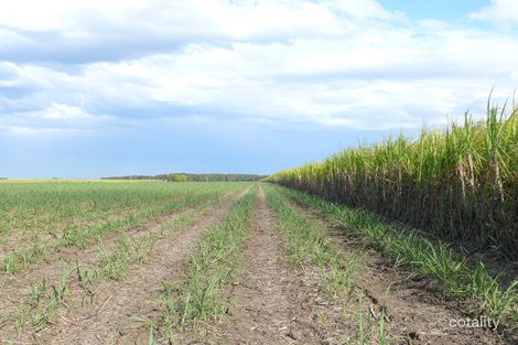 Lot 101 Eggersdorf Rd, Norwell, QLD 4208