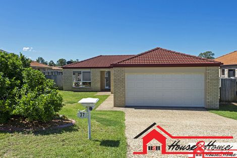 Property photo of 37 Bedivere Drive Ormeau QLD 4208