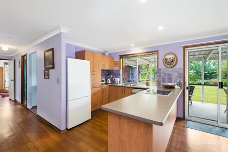 Property photo of 23 Belongil Crescent Byron Bay NSW 2481