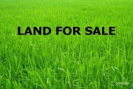 Property photo of 43 Wilga Road Gol Gol NSW 2738