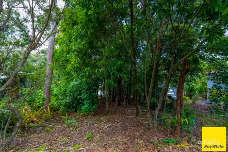 Property photo of 7 Tari Place Trinity Beach QLD 4879