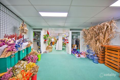 Property photo of 58 Edith Street Innisfail QLD 4860