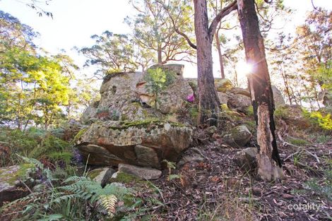 Property photo of 58 Priests Ridge Road Cedar Brush Creek NSW 2259