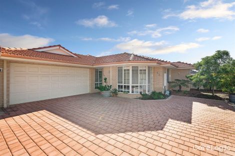 Property photo of 3/5 Zukova Close Spearwood WA 6163