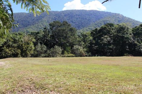 Property photo of 6 Latania Close Palm Cove QLD 4879
