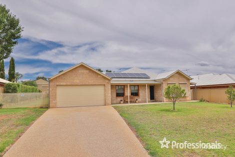 6 Robert Ct, Gol Gol, NSW 2738