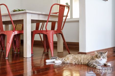 Property photo of 80 Grand Promenade Bedford WA 6052