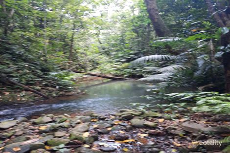 Property photo of 499 Old Cairns Track Butchers Creek QLD 4885