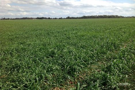 64 Hendys Rd, Katunga, VIC 3640