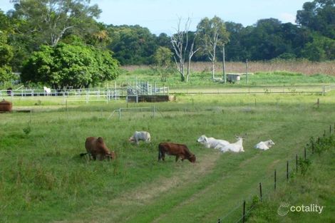 Property photo of 3 Deane Street Giru QLD 4809