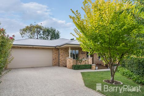 Property photo of 3 Pine Tree Court Belmont VIC 3216