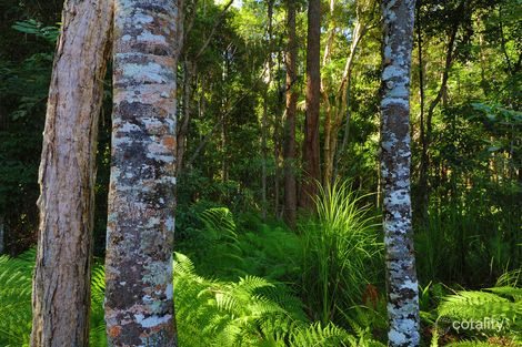 Property photo of 192 Hidden Valley Road North Arm QLD 4561