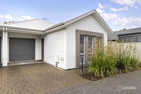 5 Shearing St, Oaklands Park, SA 5046