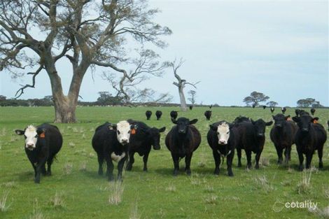 196 Haeuslers Rd, Bulart, VIC 3314