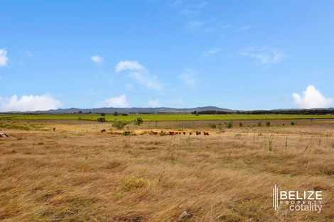 Property photo of 277 Zipfs Road Alberton QLD 4207