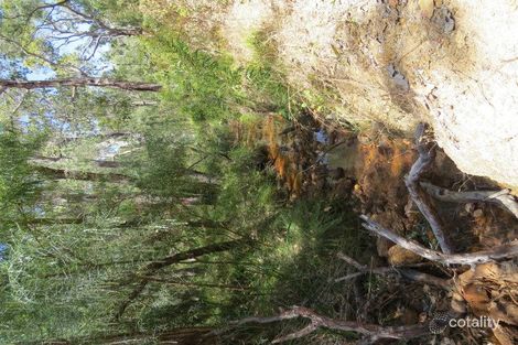 Property photo of 16 Okapa Rise Dunsborough WA 6281