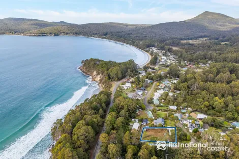 Property photo of 5 Coolangatta Road Adventure Bay TAS 7150
