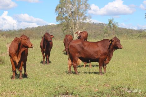 190 Oakey Creek Rd, Oakey Creek, QLD 4714