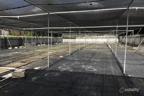 Property photo of 321 King Avenue Durack QLD 4077