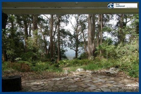 Property photo of 15 Mimosa Road Springbrook QLD 4213