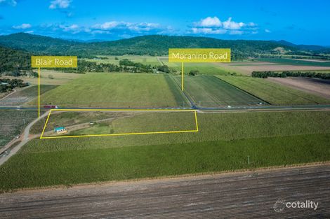 Property photo of 13261 Bruce Highway Myrtlevale QLD 4800