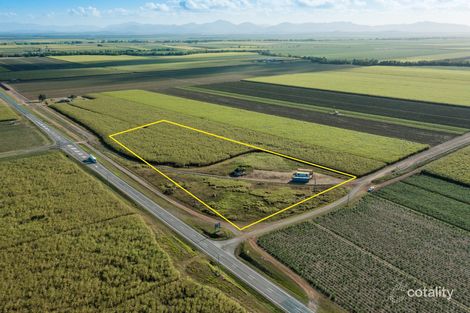 Property photo of 13261 Bruce Highway Myrtlevale QLD 4800