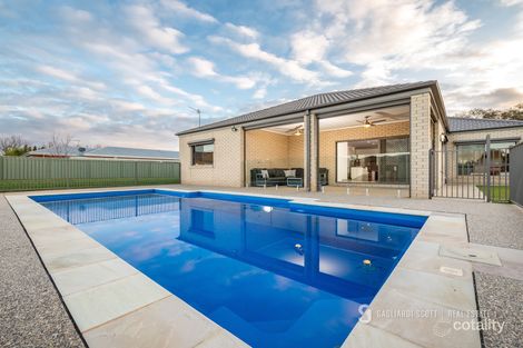 Property photo of 7 Lomandra Drive Kialla VIC 3631