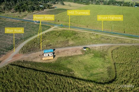 Property photo of 13261 Bruce Highway Myrtlevale QLD 4800