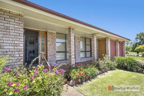 Property photo of 37 Casuarina Circuit Warabrook NSW 2304