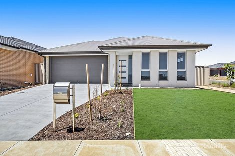 25 Swan Bvd, Winter Valley, VIC 3358