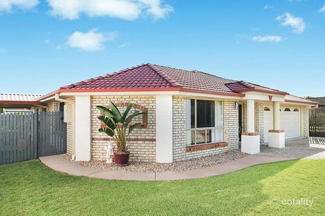 Property photo of 7 Anna Court Birkdale QLD 4159