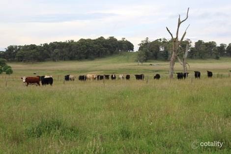 Property photo of 55 Coopers Road Red Range NSW 2370