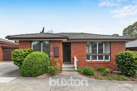 5/37-39 Jean St, Cheltenham, VIC 3192