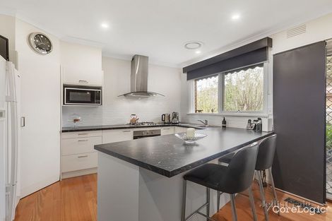 Property photo of 48 Blue Hills Avenue Mount Waverley VIC 3149