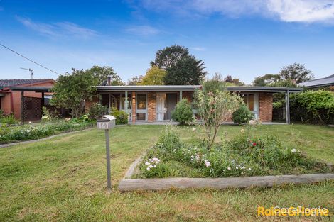 Property photo of 141 Hunter Street Glen Innes NSW 2370