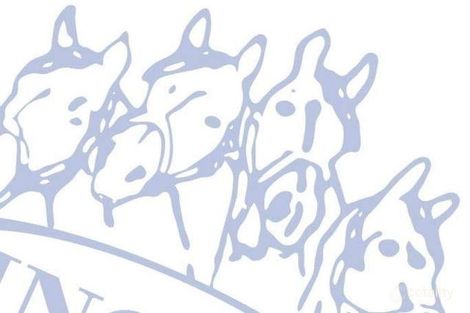 50 Sirius Cct, Narellan, NSW 2567