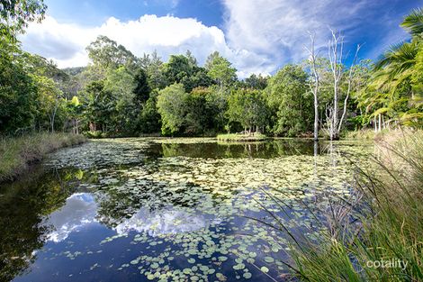 Property photo of 21 Pinewood Drive Samford Valley QLD 4520