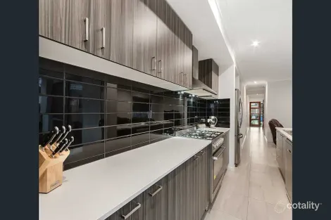 Property photo of 20 Lindeman Circuit Pimpama QLD 4209