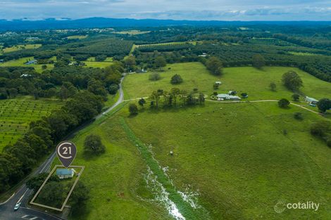 Property photo of 450 Alphadale Road Tregeagle NSW 2480