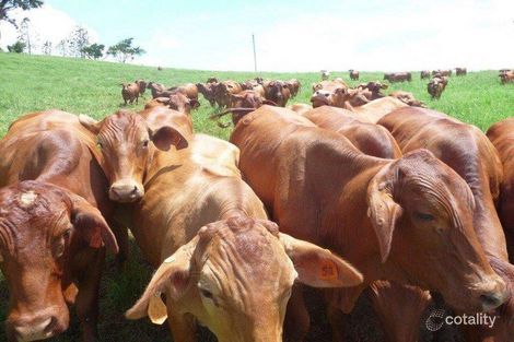 412 Hogan Rd, Tarzali, QLD 4885