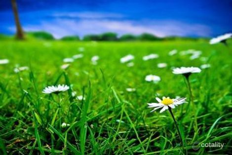 4 Skyline Dr, Officer, VIC 3809