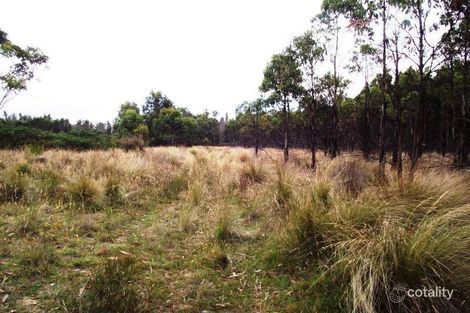 Property photo of 94 Blue Hills Road Copping TAS 7174