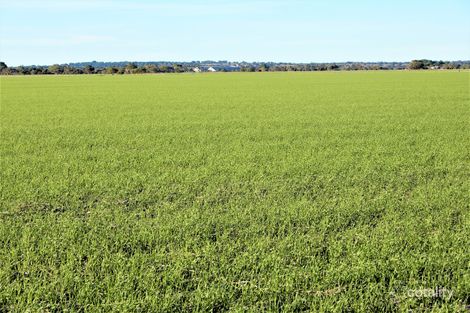 12932 Dukes Hwy, Keith, SA 5267