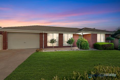 Property photo of 3 Jagger Circuit Cranbourne East VIC 3977