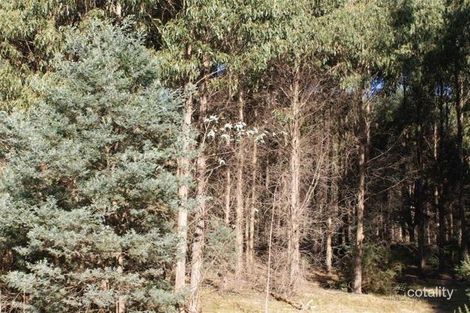 12620 Highland Lakes Rd, Golden Valley, TAS 7304