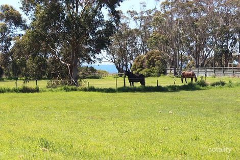 21 Casey St, Leith, TAS 7315